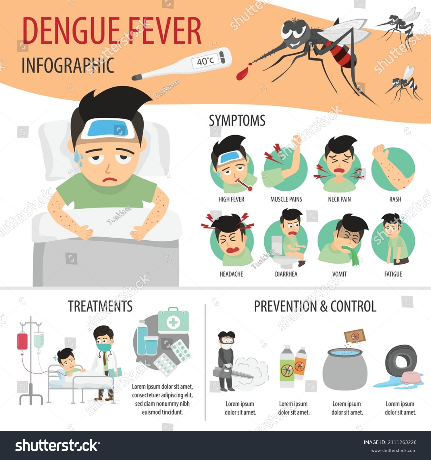 Dengue Fever Infographic Flat Health Care Stock Vector (Royalty Free ...