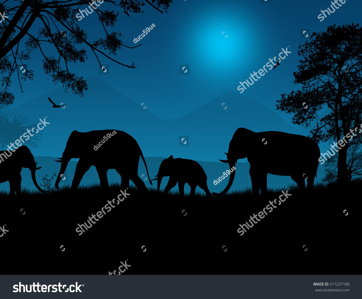 jungle africa at night