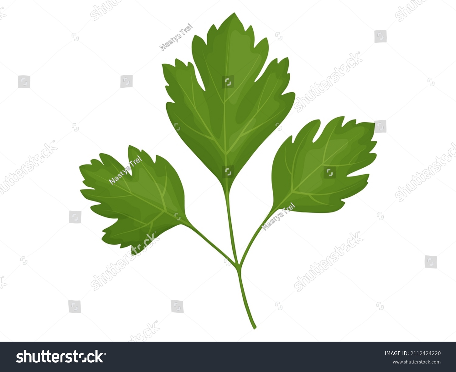 parsley cartoon clipart