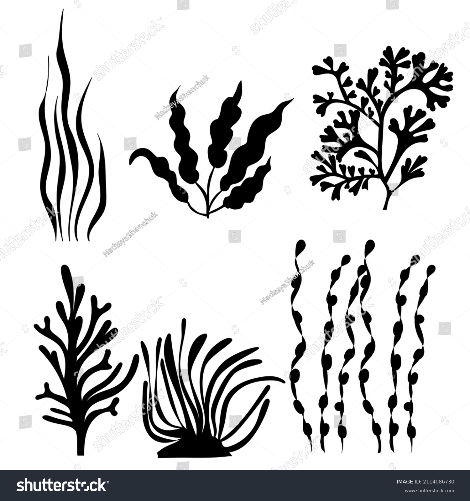 Seaweed Silhouette On White Background Vector Stock Vector (Royalty ...