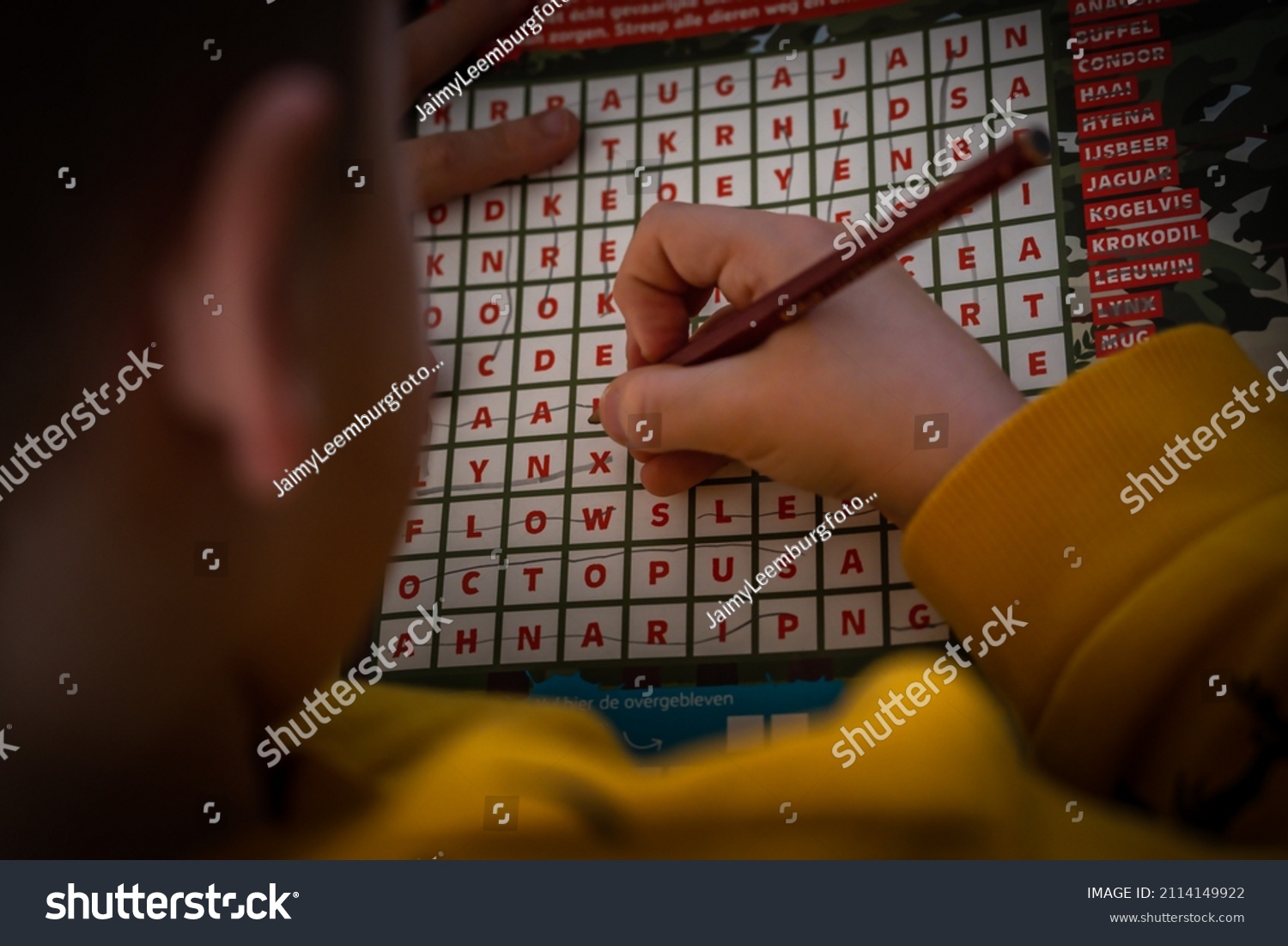 Child Does Word Search Pencil Stock Photo 2114149922 Shutterstock