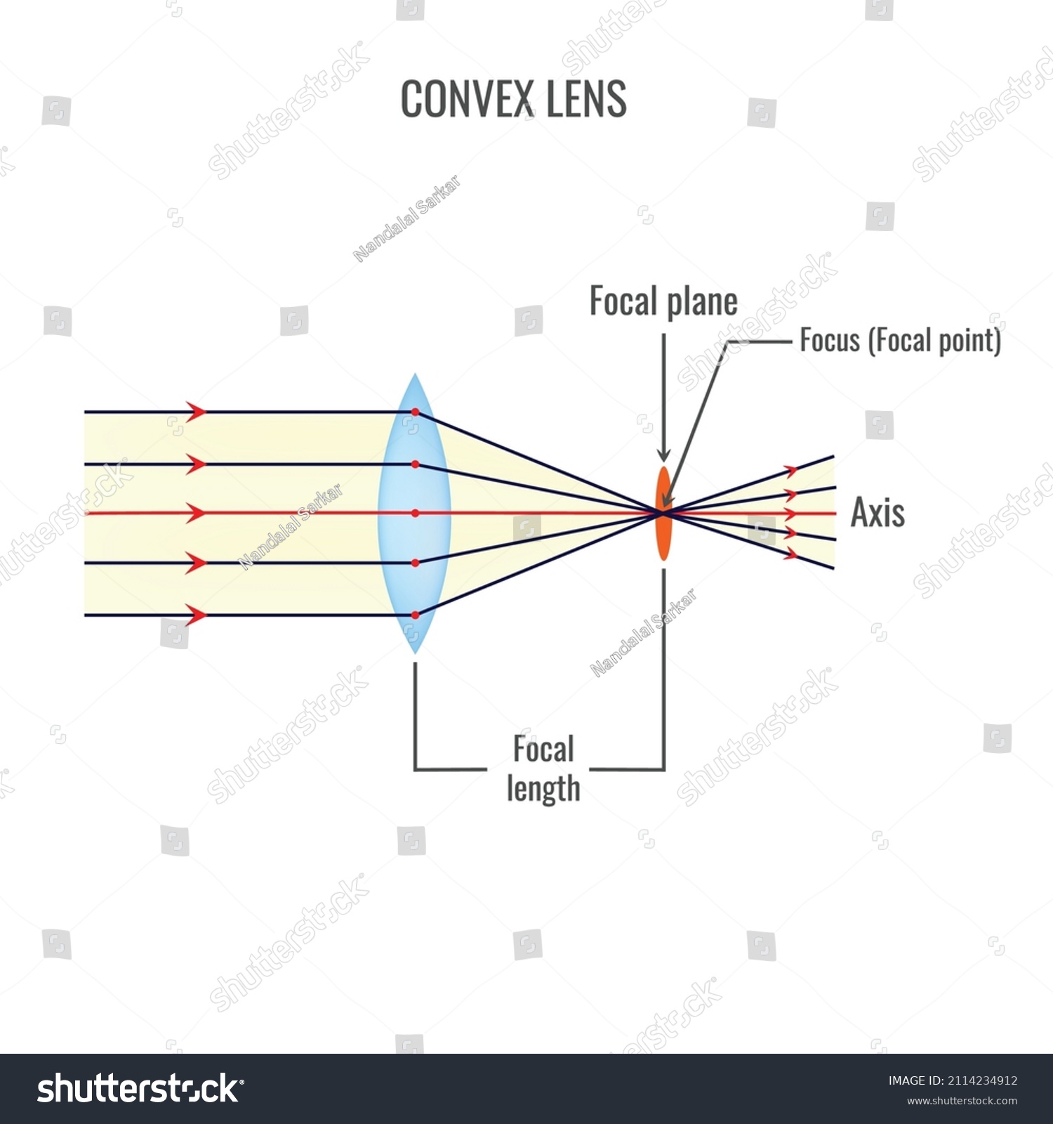 Convex Concave Lens Vector Illustration Diagrams Stock Vector (Royalty ...