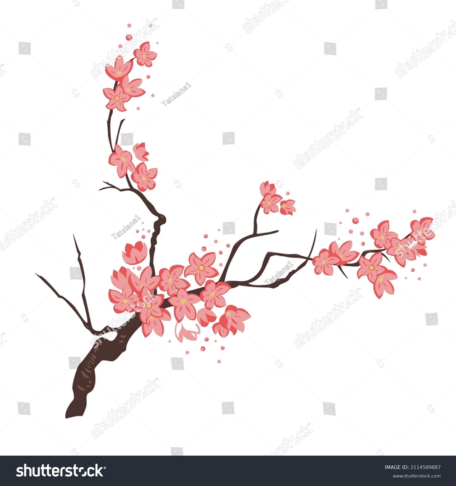 Vector Branch Sakura On Transparent Background Stock Vector (Royalty ...