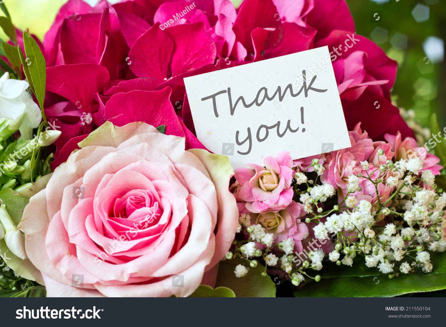 Bouquet Pink Rose Lettering Thank Youthank Stock Photo 211550104 ...