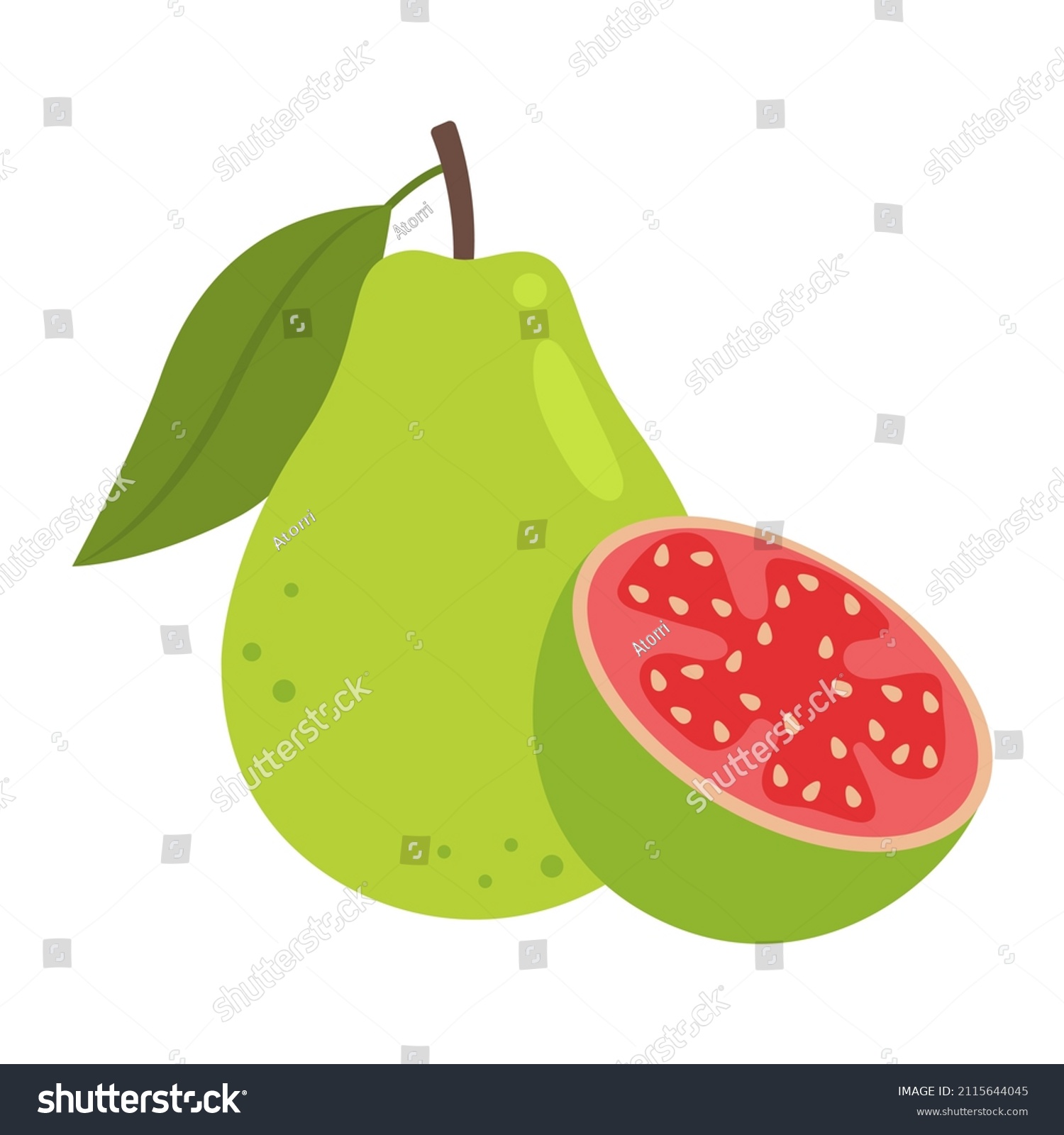 Guava Whole Fruit Half Sliced Isolated Stock Vector (Royalty Free ...