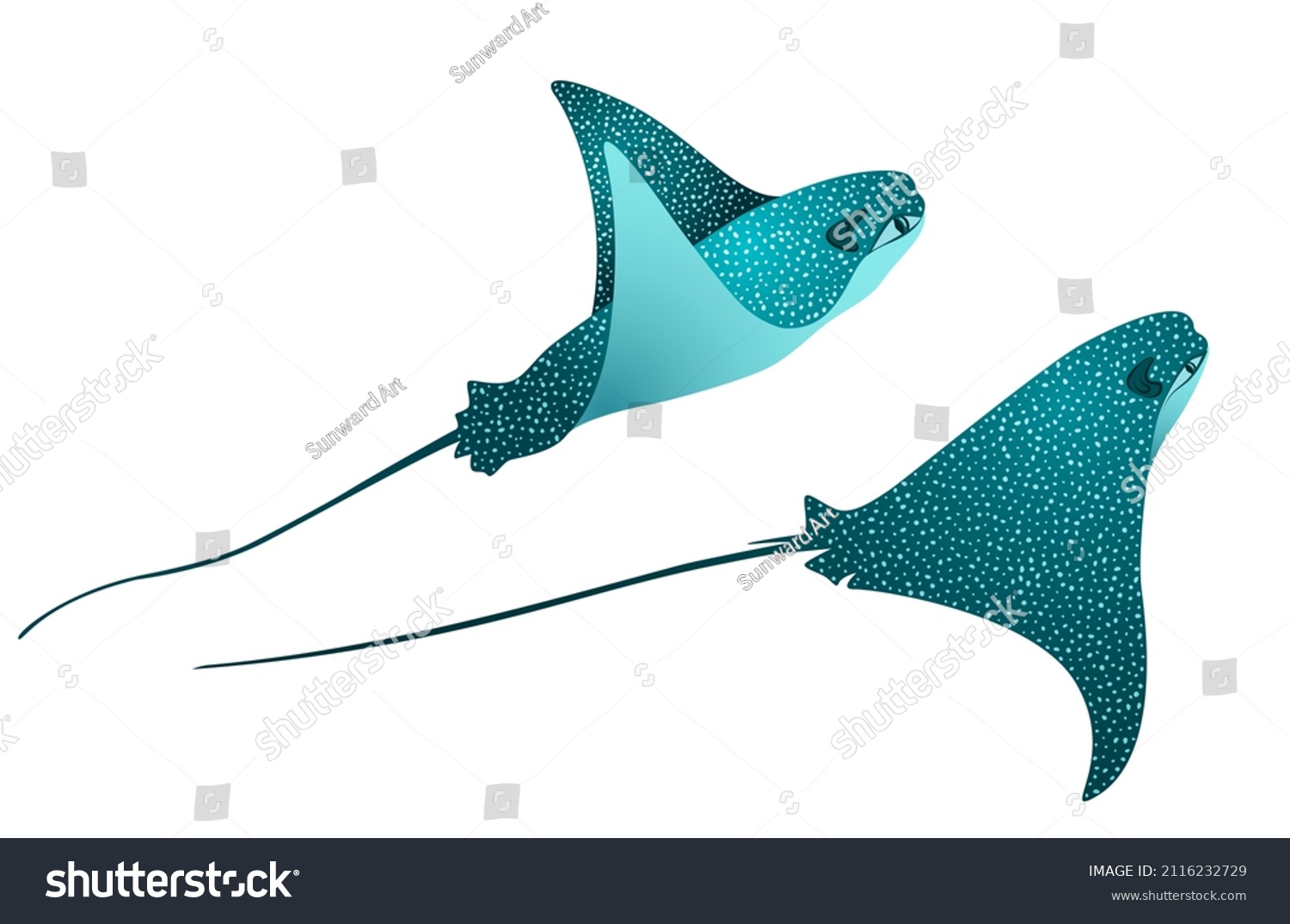 86 Mobula Stock Vectors, Images & Vector Art | Shutterstock