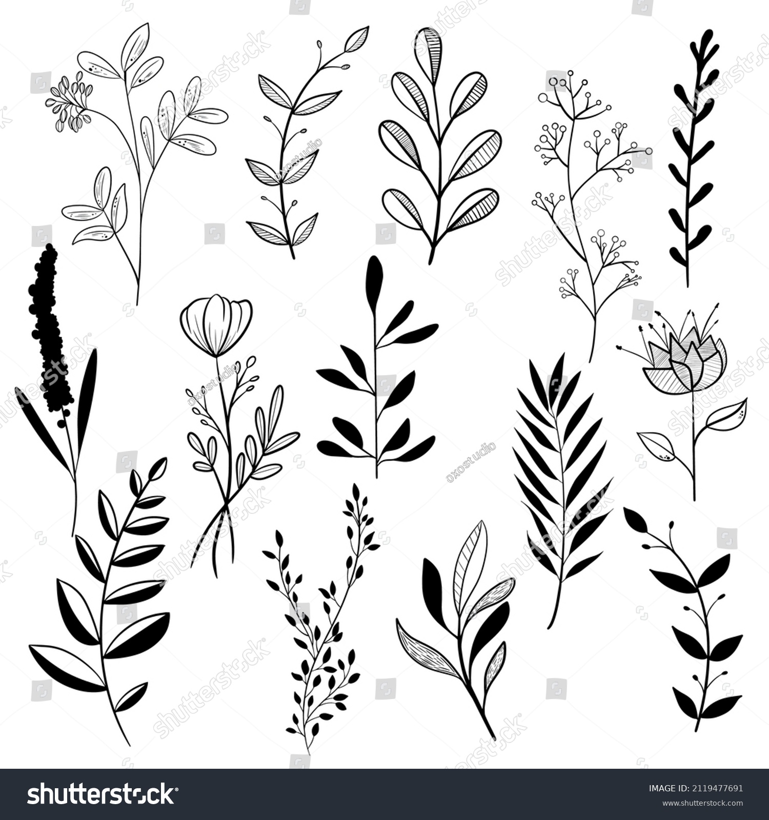 Hand Draw Doodle Plant Vector Set Stock Vector (Royalty Free ...