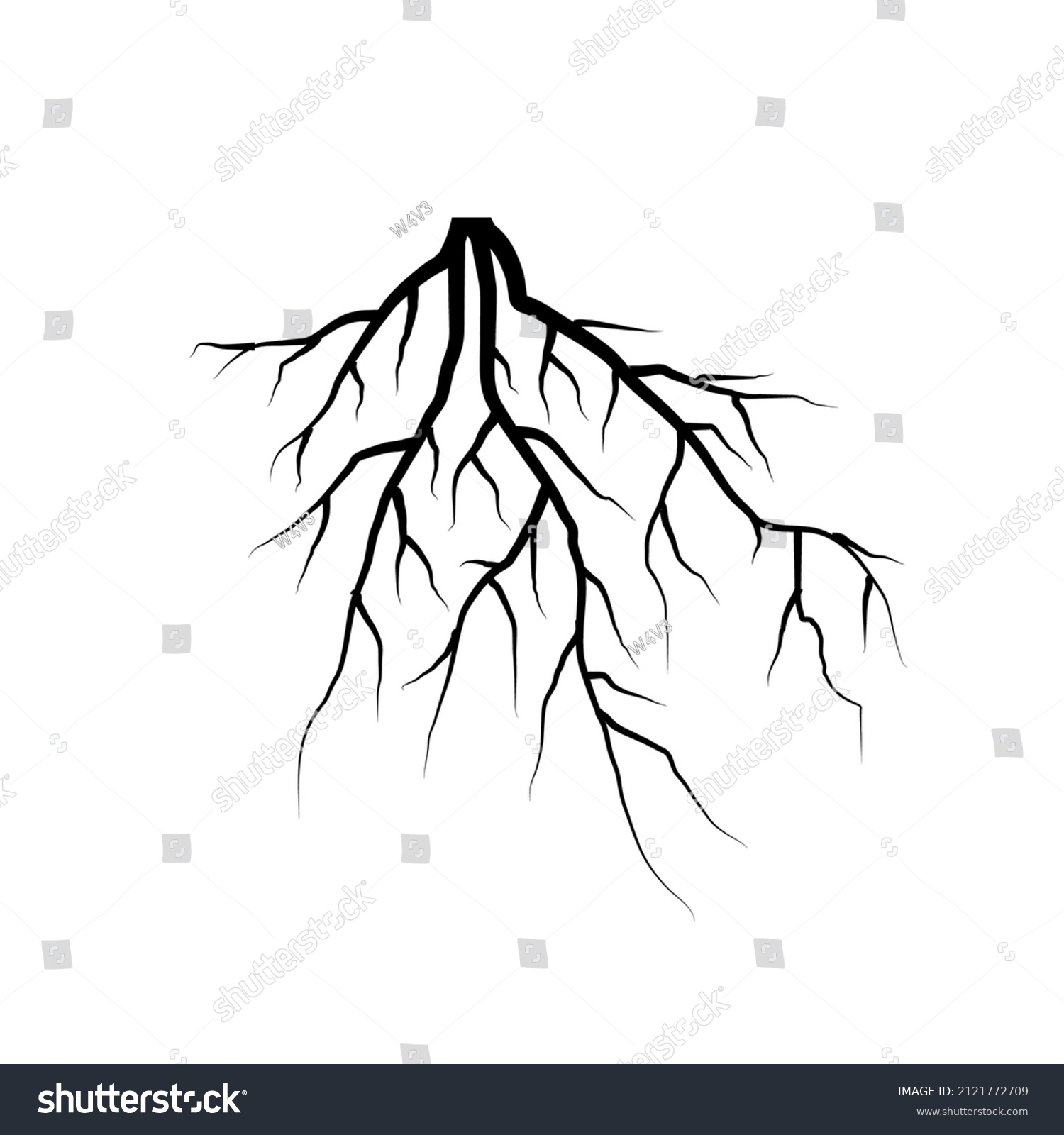 Black Tree Roots On White Background Stock Vector (royalty Free 