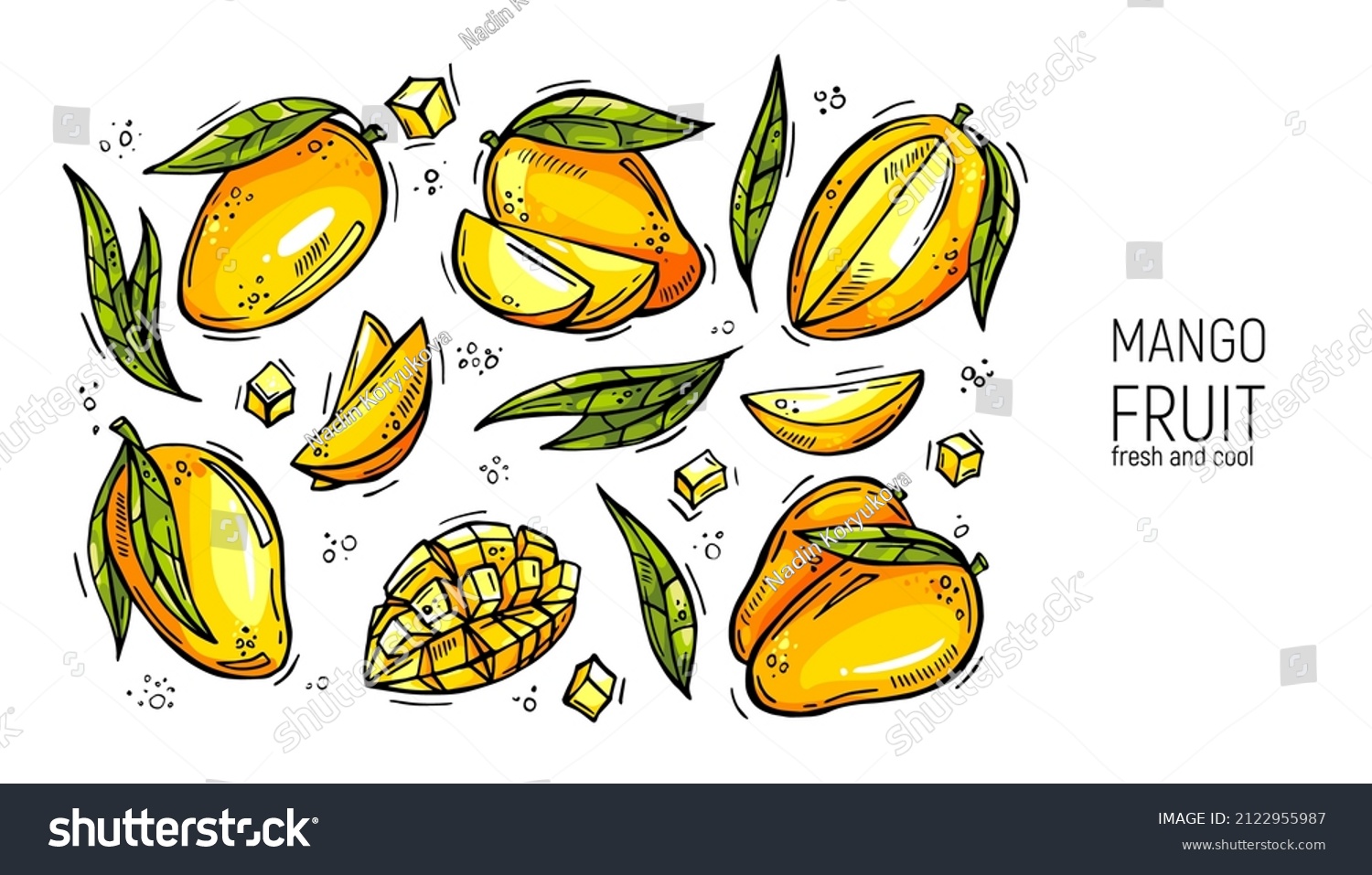 mango fruit drawing