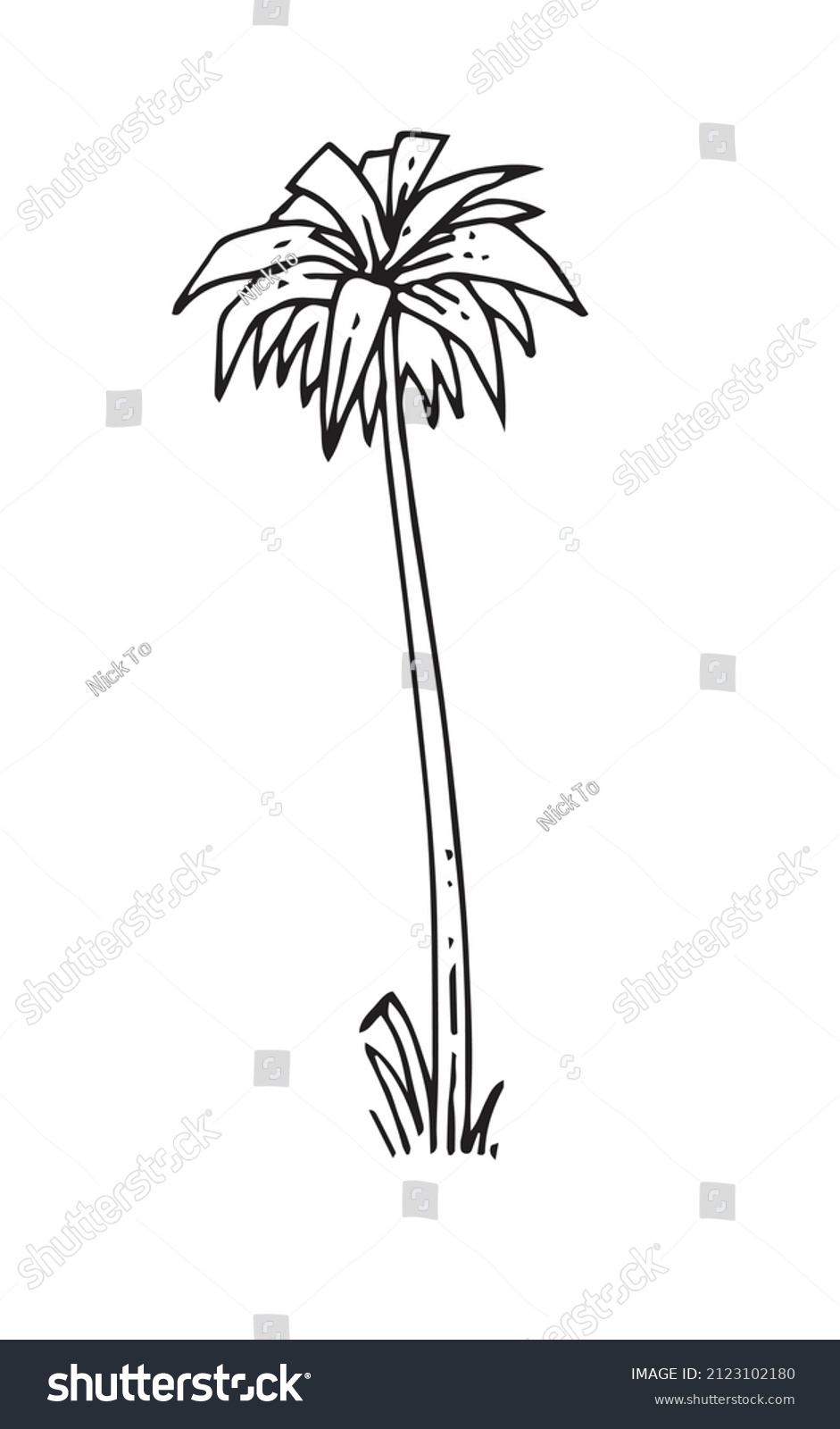 Tropical Plant Hand Drawing Outline Sketch Stock Vector Royalty Free