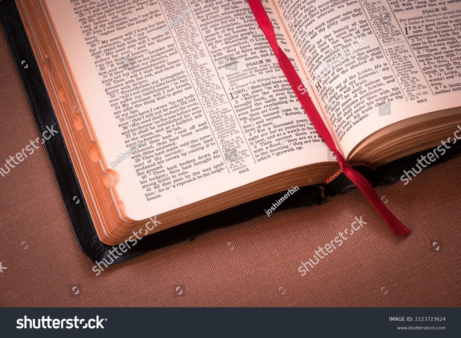 1-354-bible-translated-images-stock-photos-vectors-shutterstock