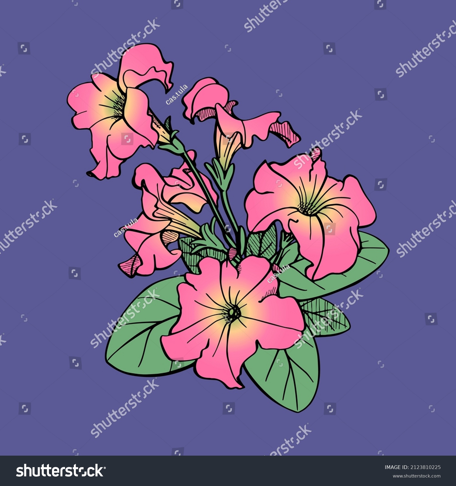 Vector Illustration Petunia Set Hand Drawn Stock Vector (Royalty Free ...