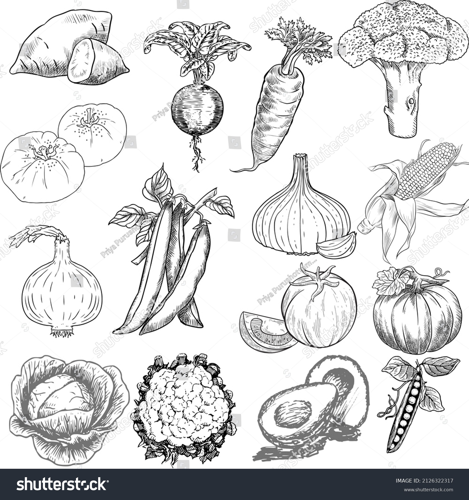 Vegetables Doodle Drawing Collection Vegetable Such Stock Illustration 2126322317 Shutterstock