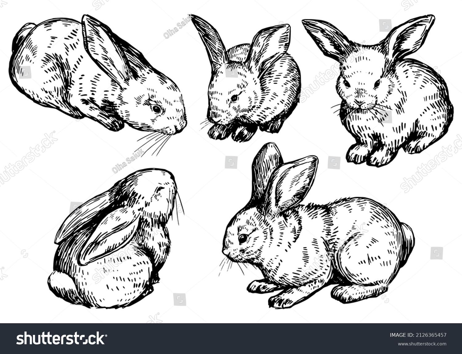 Cute Baby Rabbits Collection Bunnies Pretty Stock Vector (royalty Free 