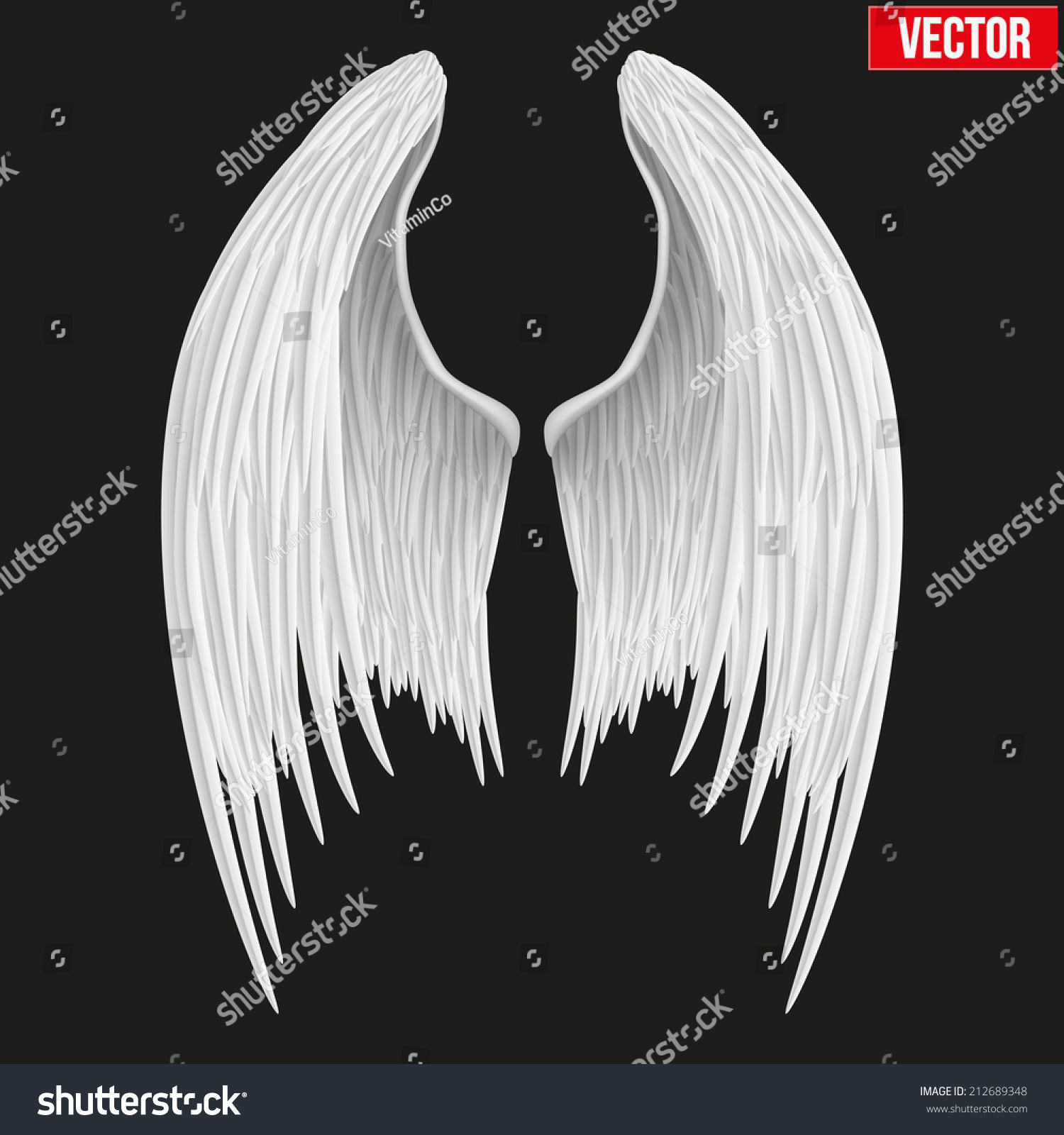 Крылья сложенные за спиной