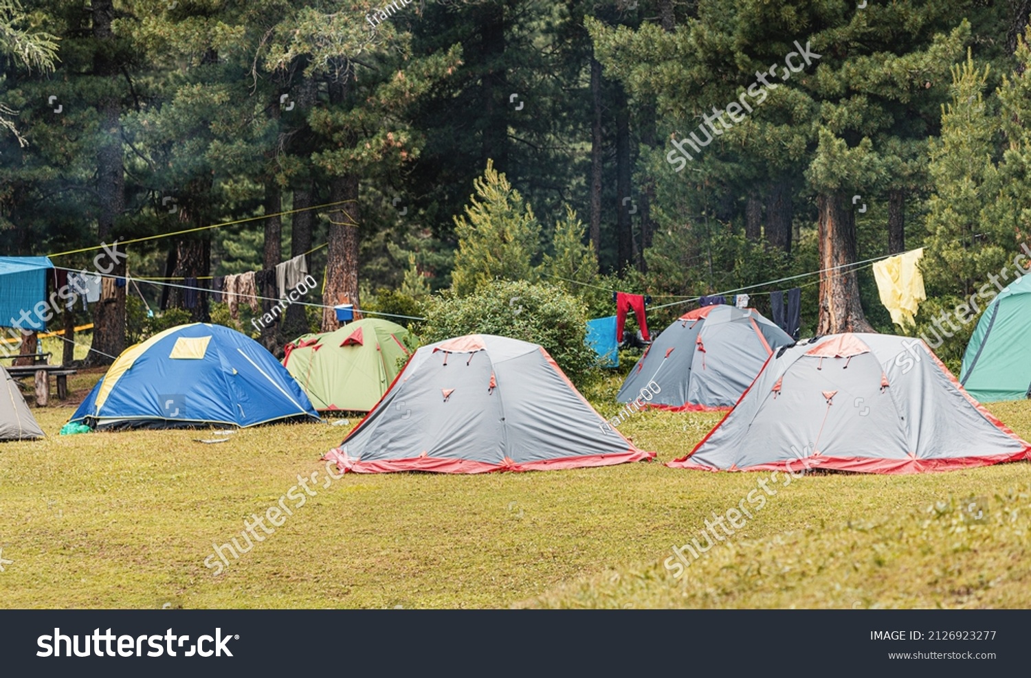 Large Group Tents Located Forest Camping Stock Photo 2126923277 Shutterstock