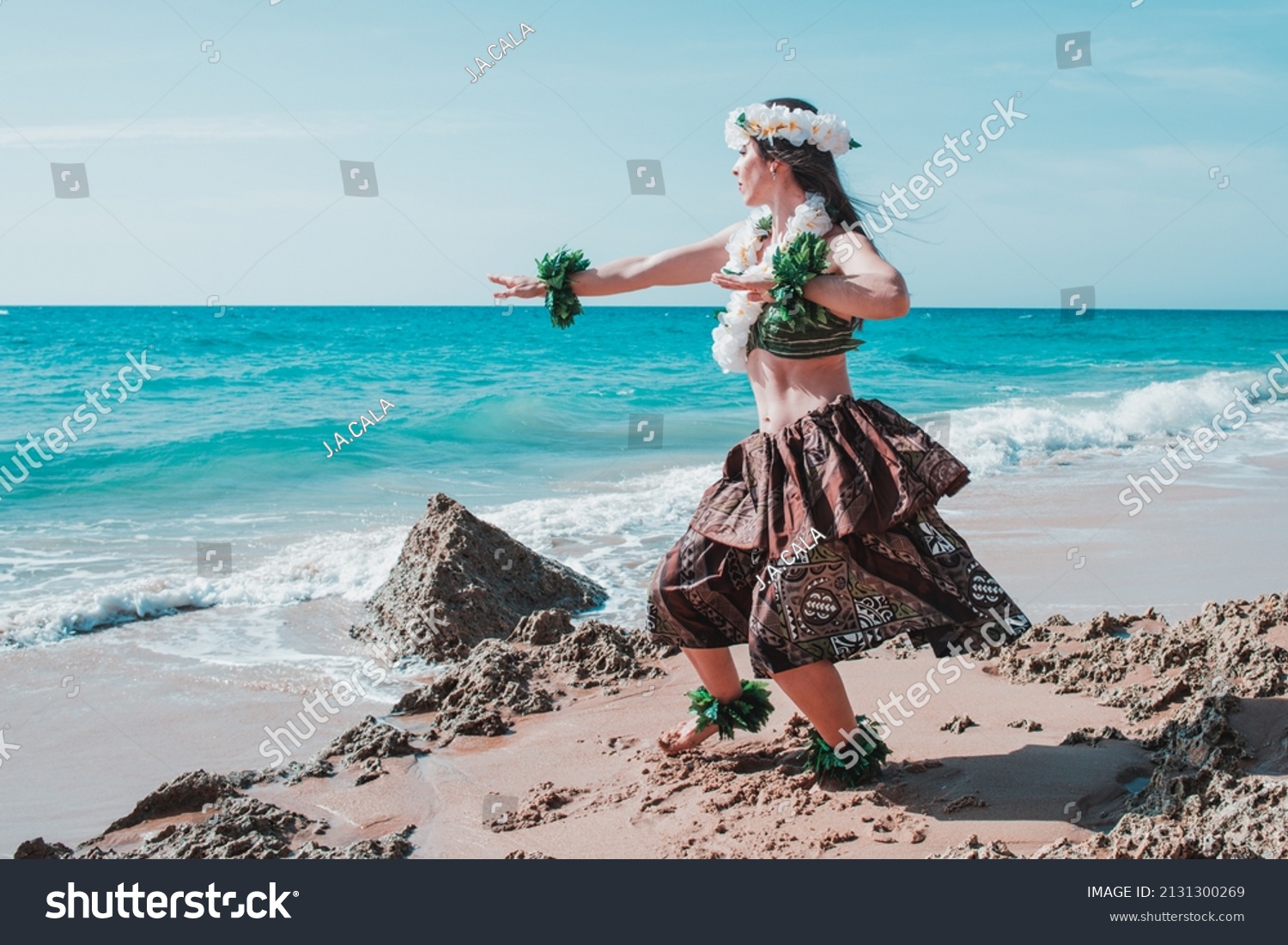 33 0件の フラ の画像 写真素材 ベクター画像 Shutterstock