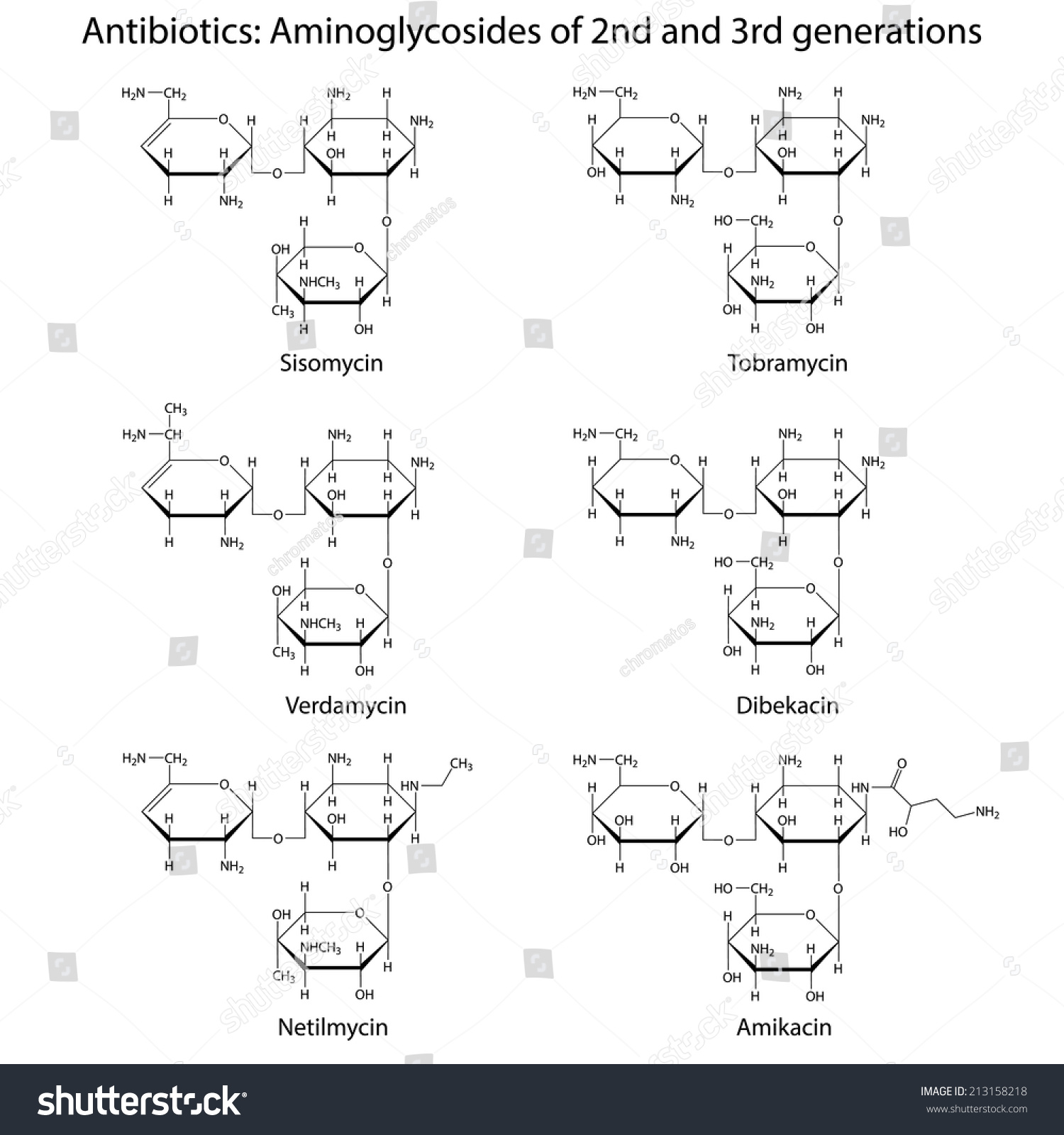 Structural Chemical Formulas Aminoglycoside Antibiotics Sisomycin Stock ...