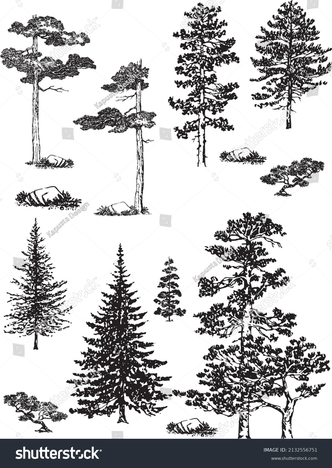 13 Inked Tree Woodland Elements Pine Stock Vector (Royalty Free ...