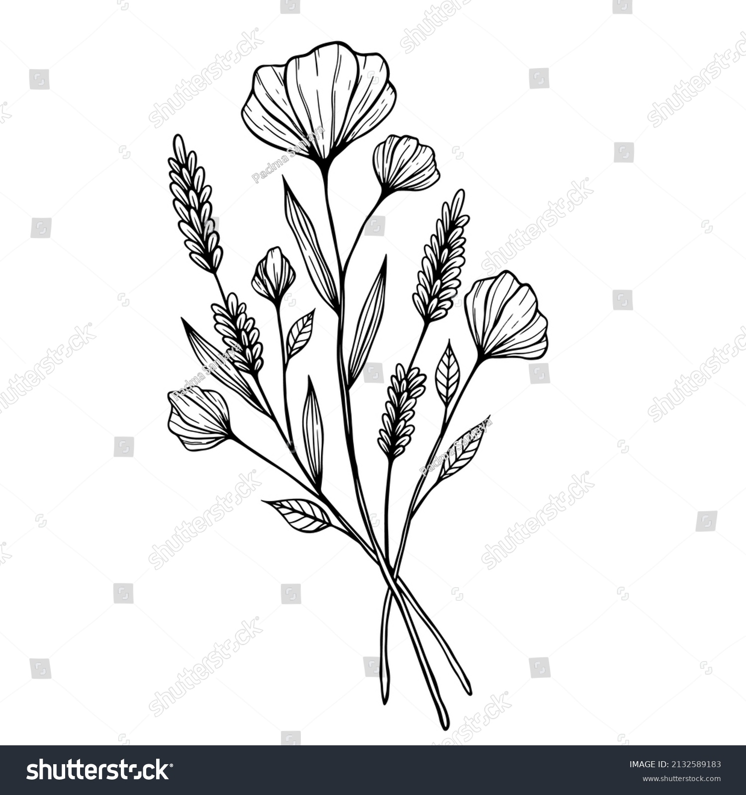 Hand Drawn Beautiful Flower Lavender Branch Stock Vector (Royalty Free ...