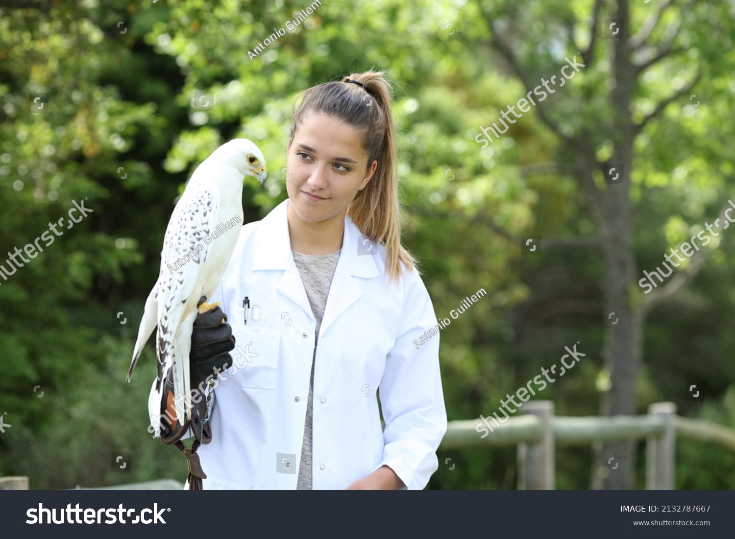 Veterinary Wearing White Coat Holding Falcon Stock Photo 2132787667 ...