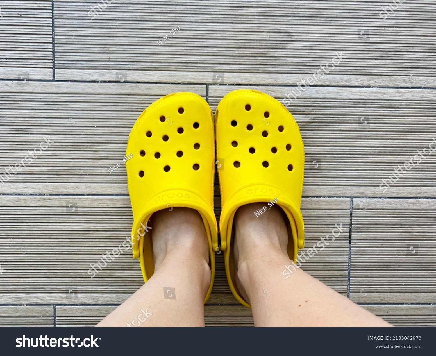 289 Crocs family Images, Stock Photos & Vectors | Shutterstock