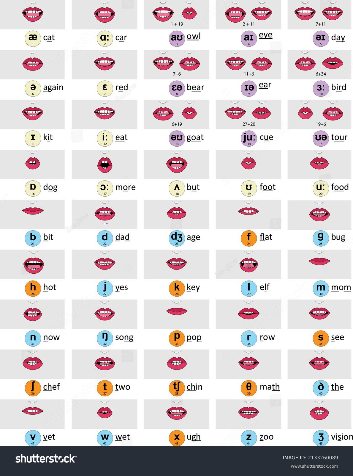 Mouth Shapes Symbols All 45 Phonetic: เวกเตอร์สต็อก (ปลอดค่าลิขสิทธิ์ ...