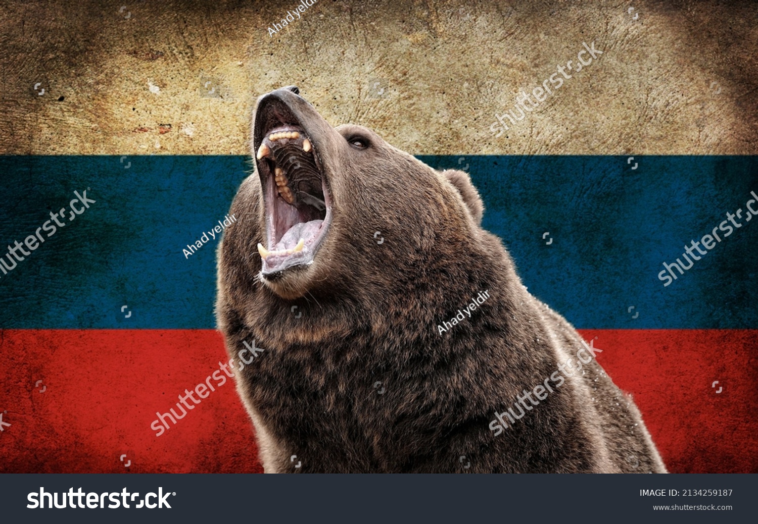 Бурый медведь Россия флаг
