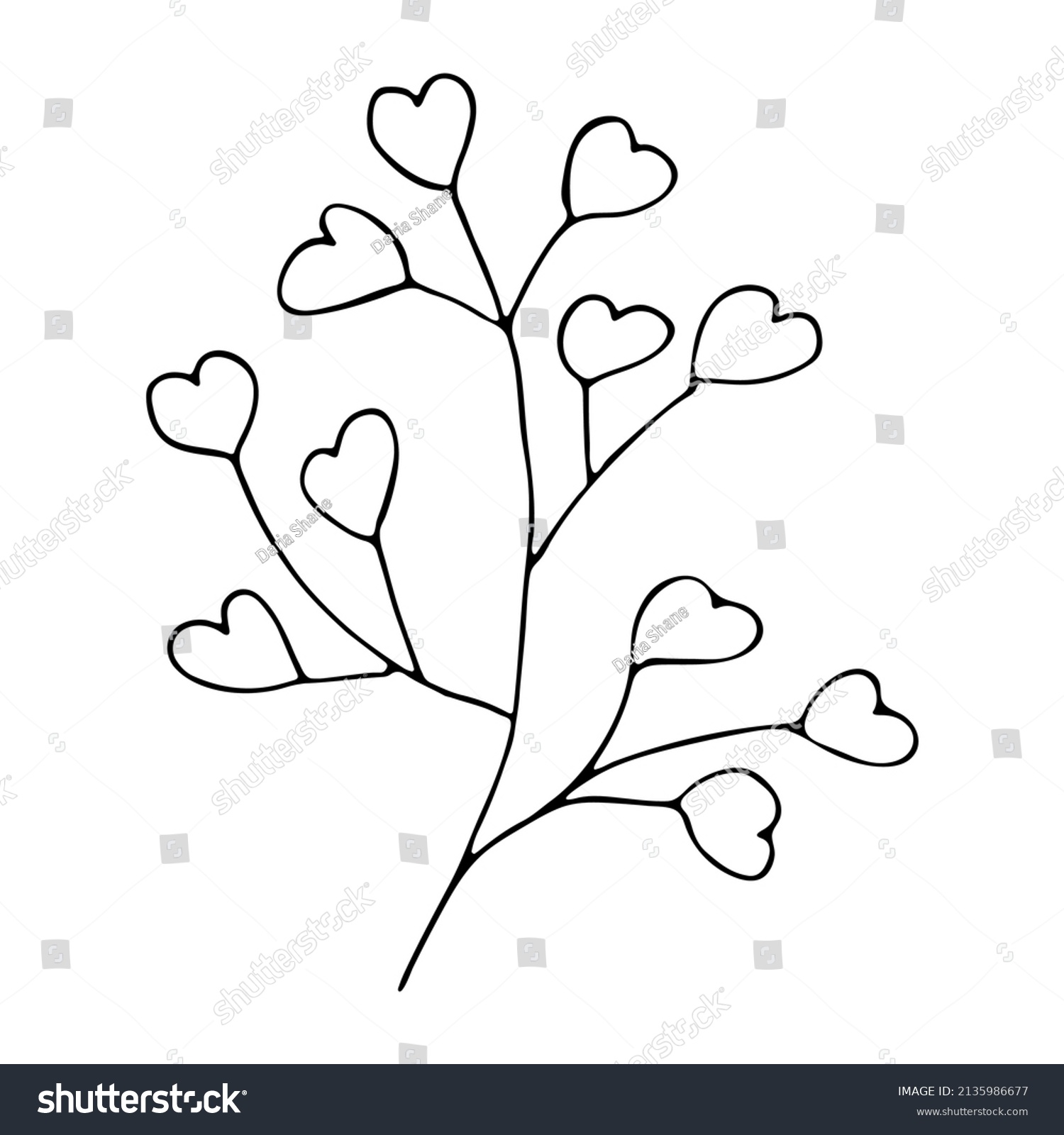 Hand Drawn Vector Branch Herb Doodle Stock Vector Royalty Free   Stock Vector Hand Drawn Vector Branch Herb Doodle Isolated On White Background Botanical Illustration For Card 2135986677 