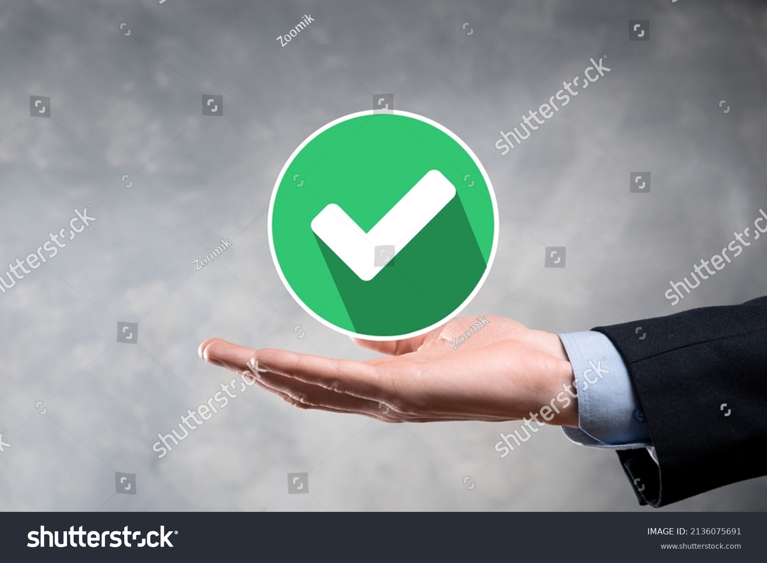 Hand Holds Green Icon Check Markcheck Stock Photo 2136075691 | Shutterstock