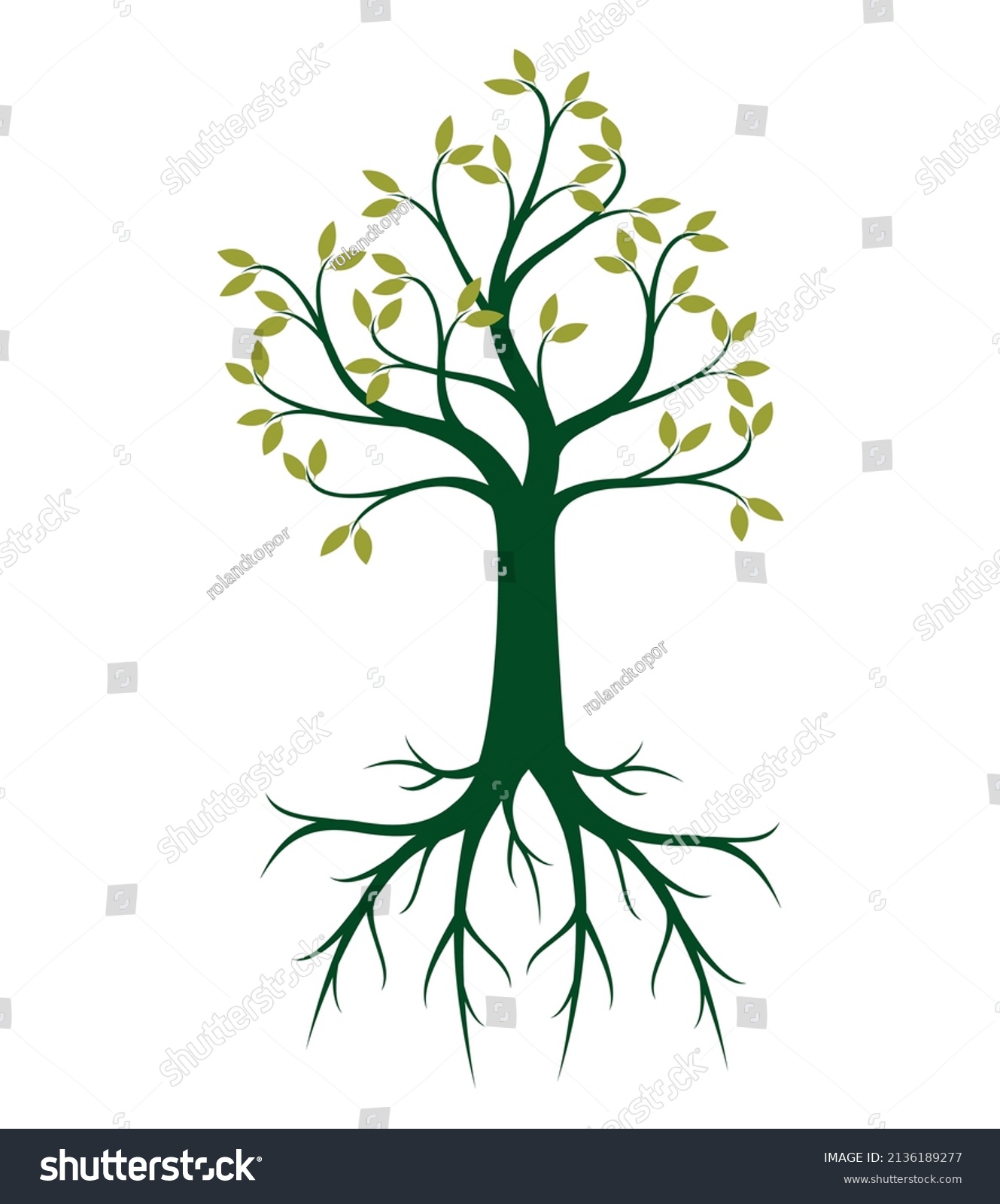 Green Tree Roots Vector Outline Illustration Stock Vector (Royalty Free ...