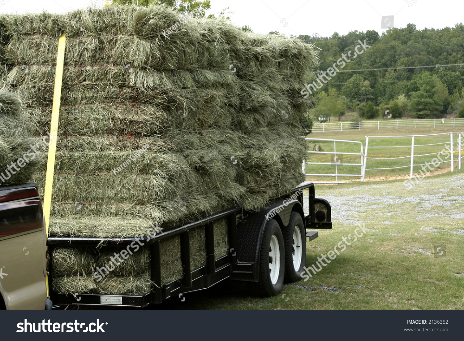 Load Bermuda Hay Stock Photo 2136352 Shutterstock   Stock Photo Load Of Bermuda Hay 2136352 