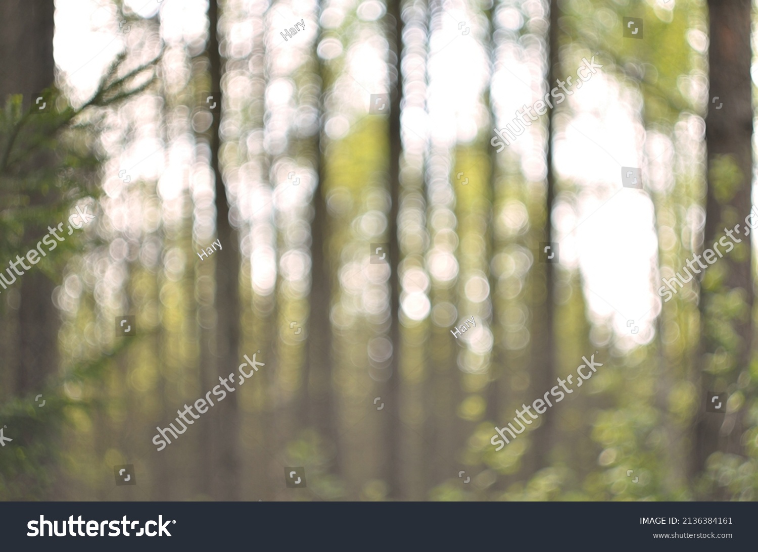 Blurred Nature Background Bokeh Wallpaper Stock Photo 2136384161