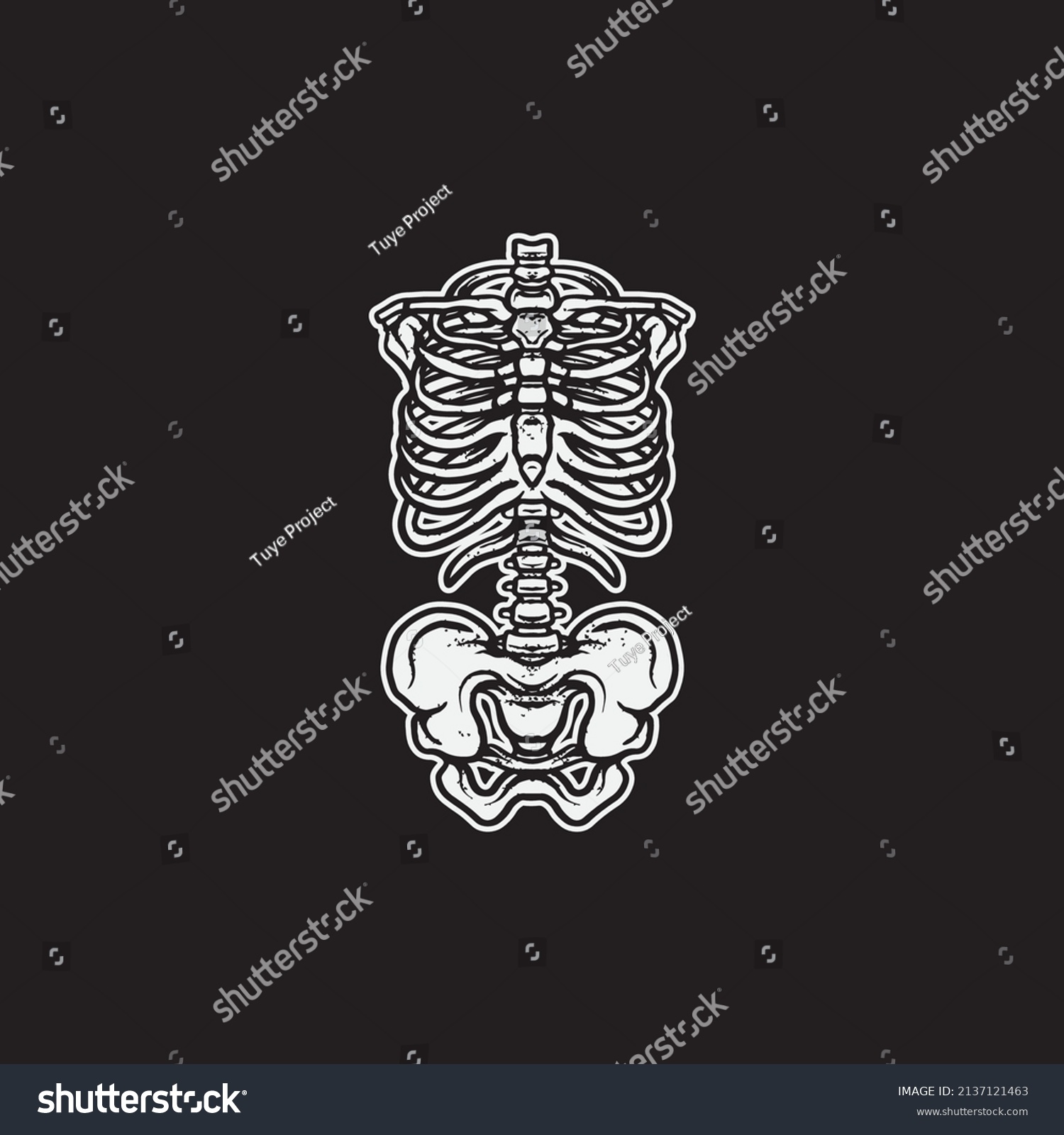 Body Huma Skeleton Isolated Black Background Stock Vector (Royalty Free ...