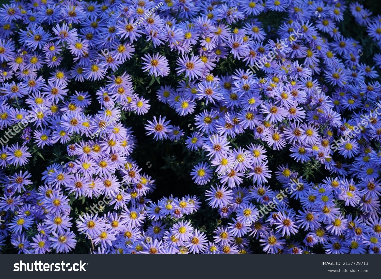 15 Blaue Lagune Images, Stock Photos & Vectors | Shutterstock