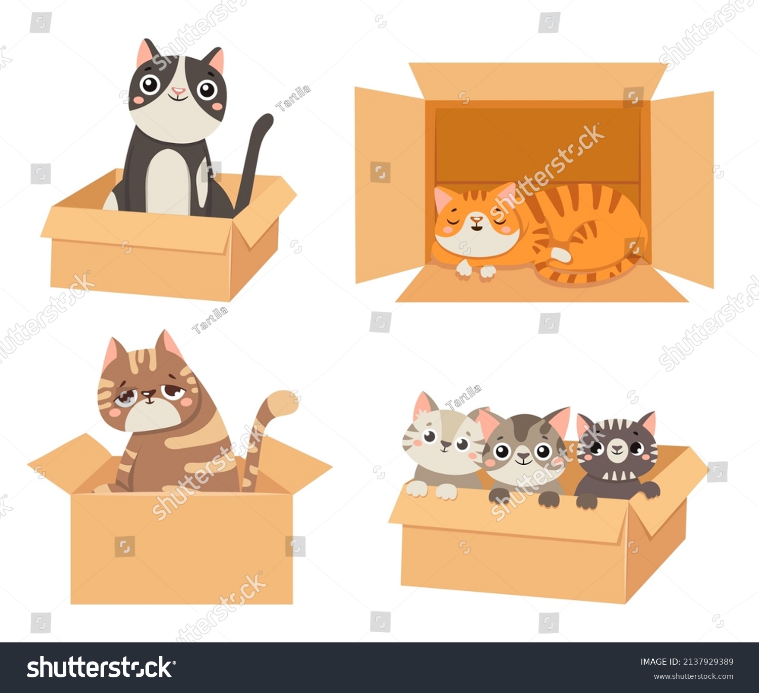 Cat in the Box Clipart