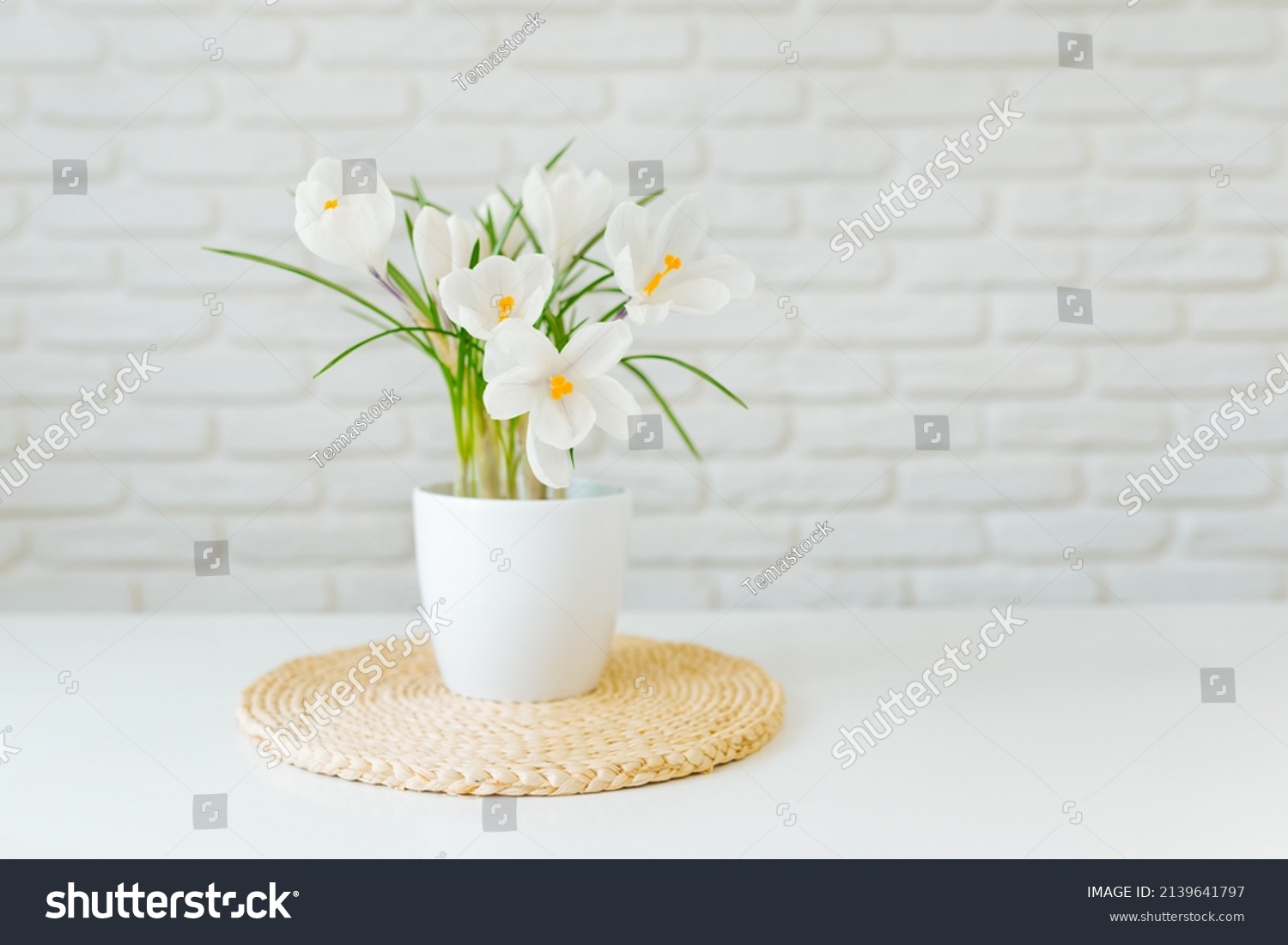 28,442 White planters Images, Stock Photos & Vectors | Shutterstock