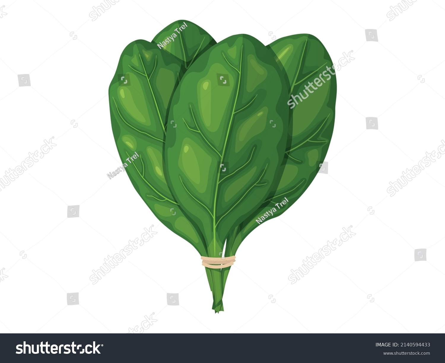 Spinach Tasty Fresh Herb Green Leaves Stock Vector (Royalty Free ...