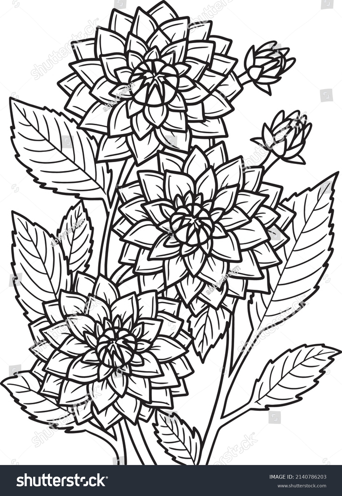 Dahlia Flower Coloring Page Adults Stock Vector (Royalty Free ...