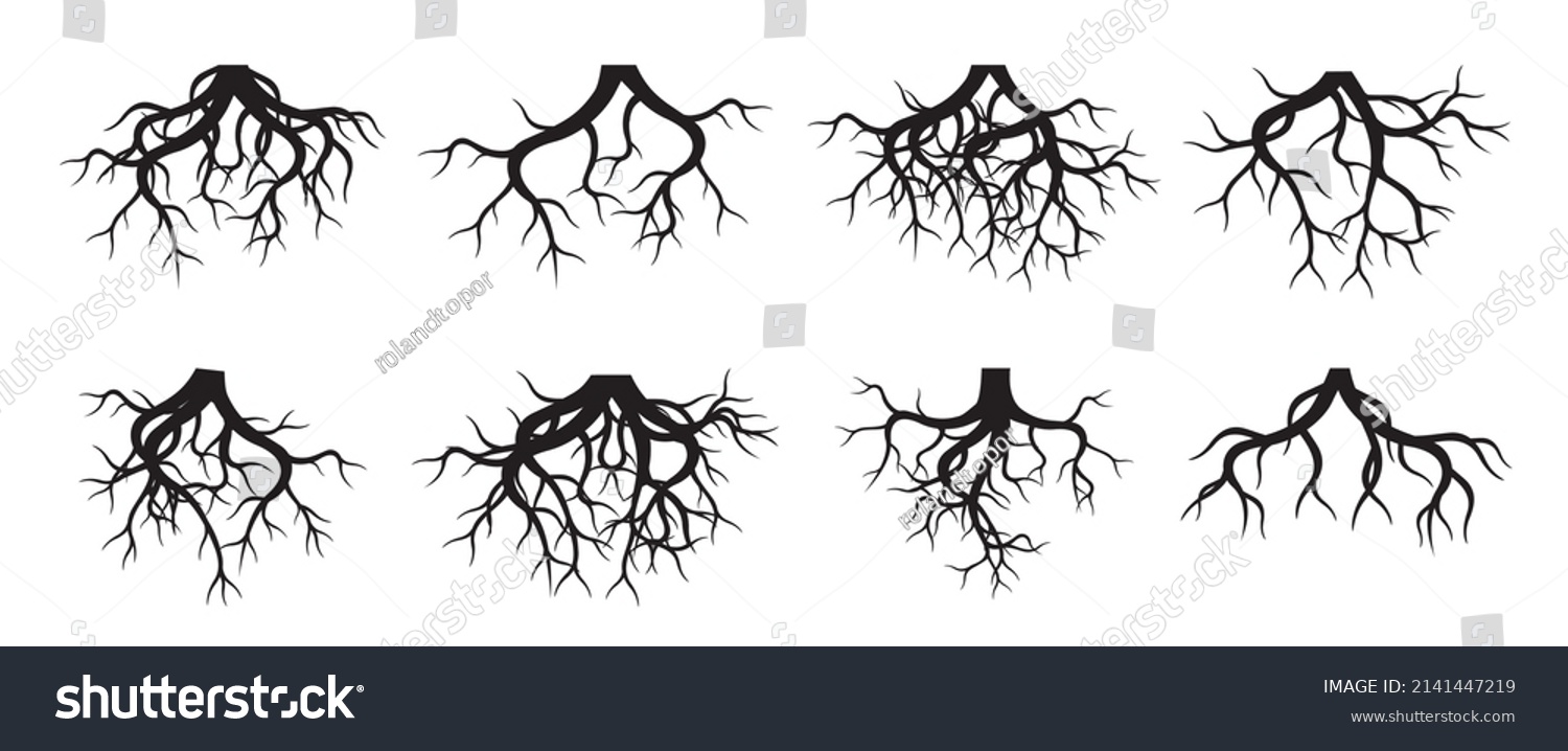 Collection Tree Roots Vector Outline Illustration Stock Vector (Royalty ...