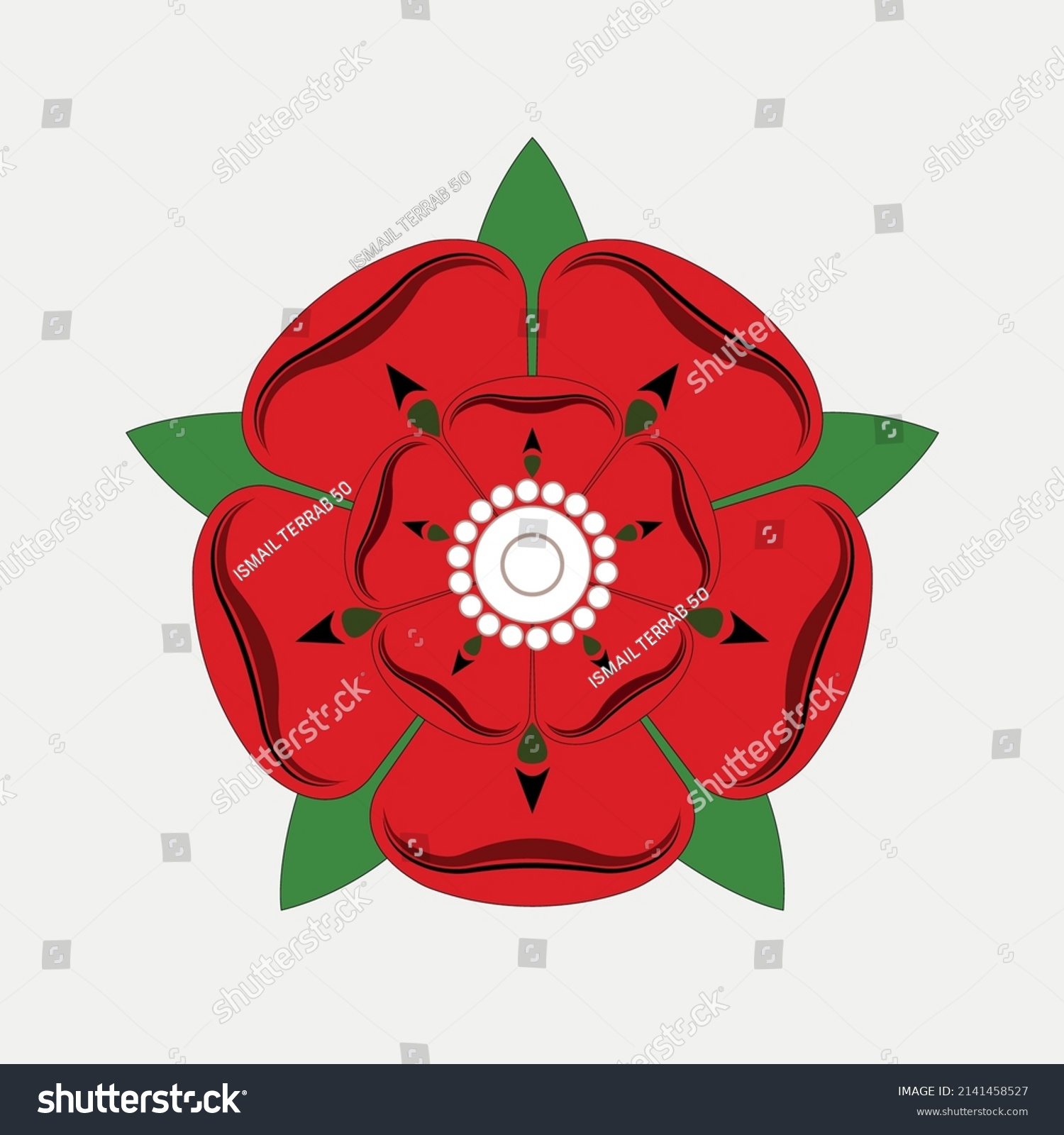 Red Rose Lancaster Drawing Vector Illustration Stock Vector (Royalty ...