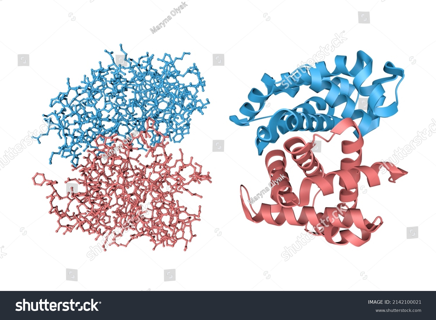 Human Hemoglobin Nitric Oxide Adduct Crystal ภาพประกอบสต็อก 2142100021