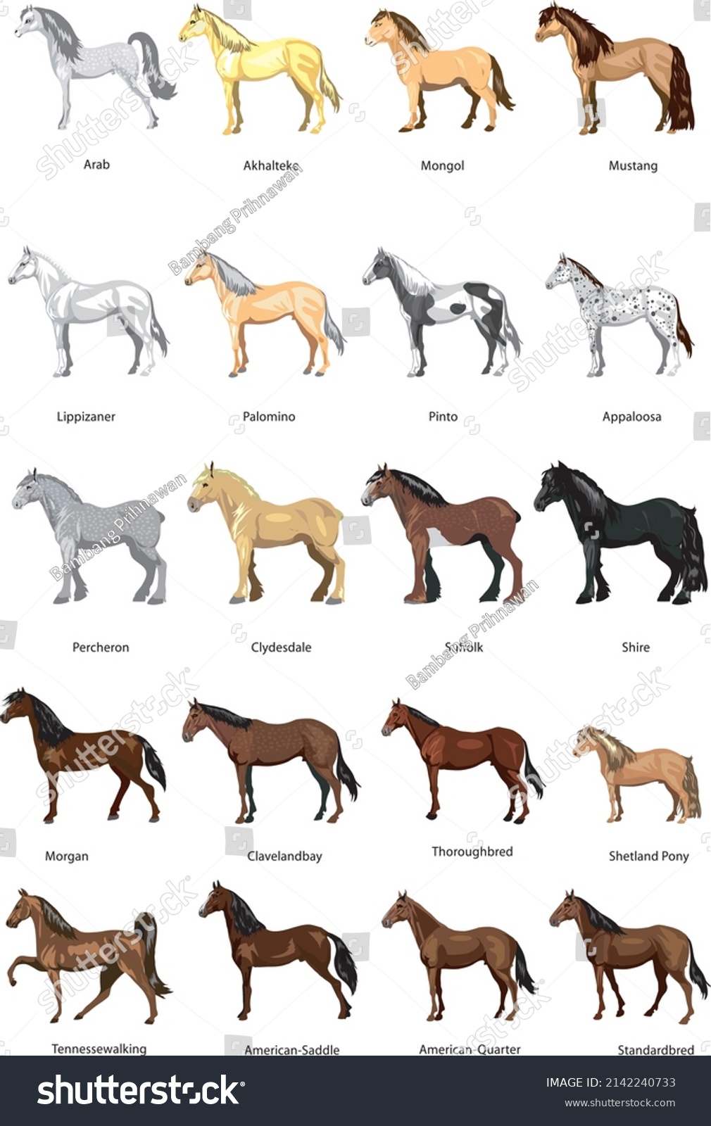 Set Horse Stallion Pony Vector Stock Vector (Royalty Free) 2142240733 ...
