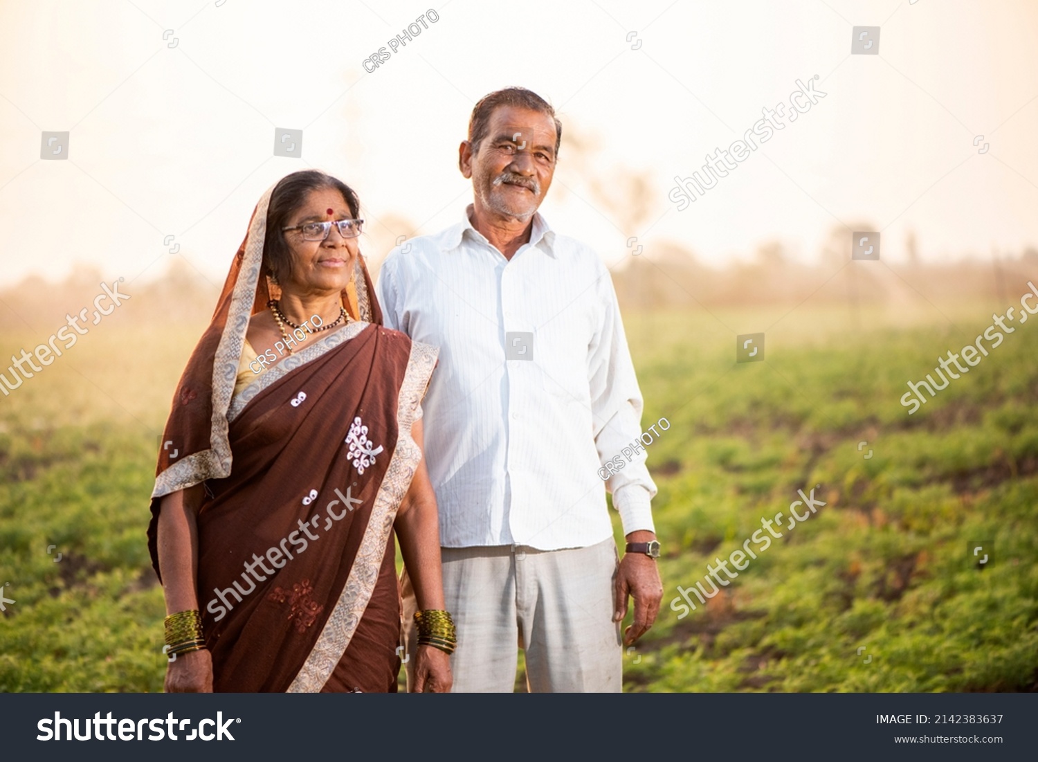 Happy Indian Woman Chickpea Field Stock pic