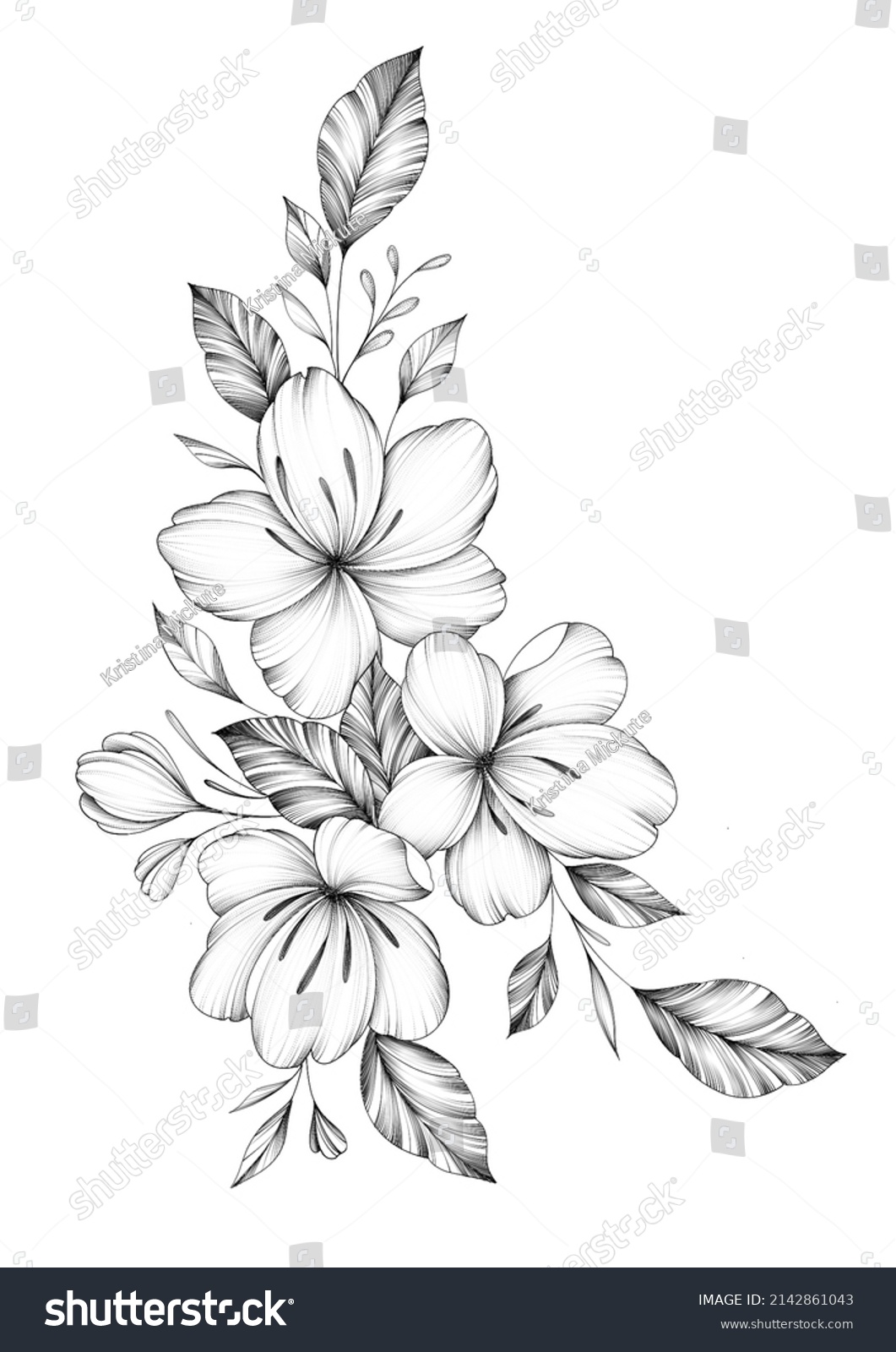 Cherry Blossom Flowers Illustration Tattoo Sketch Stock Illustration ...