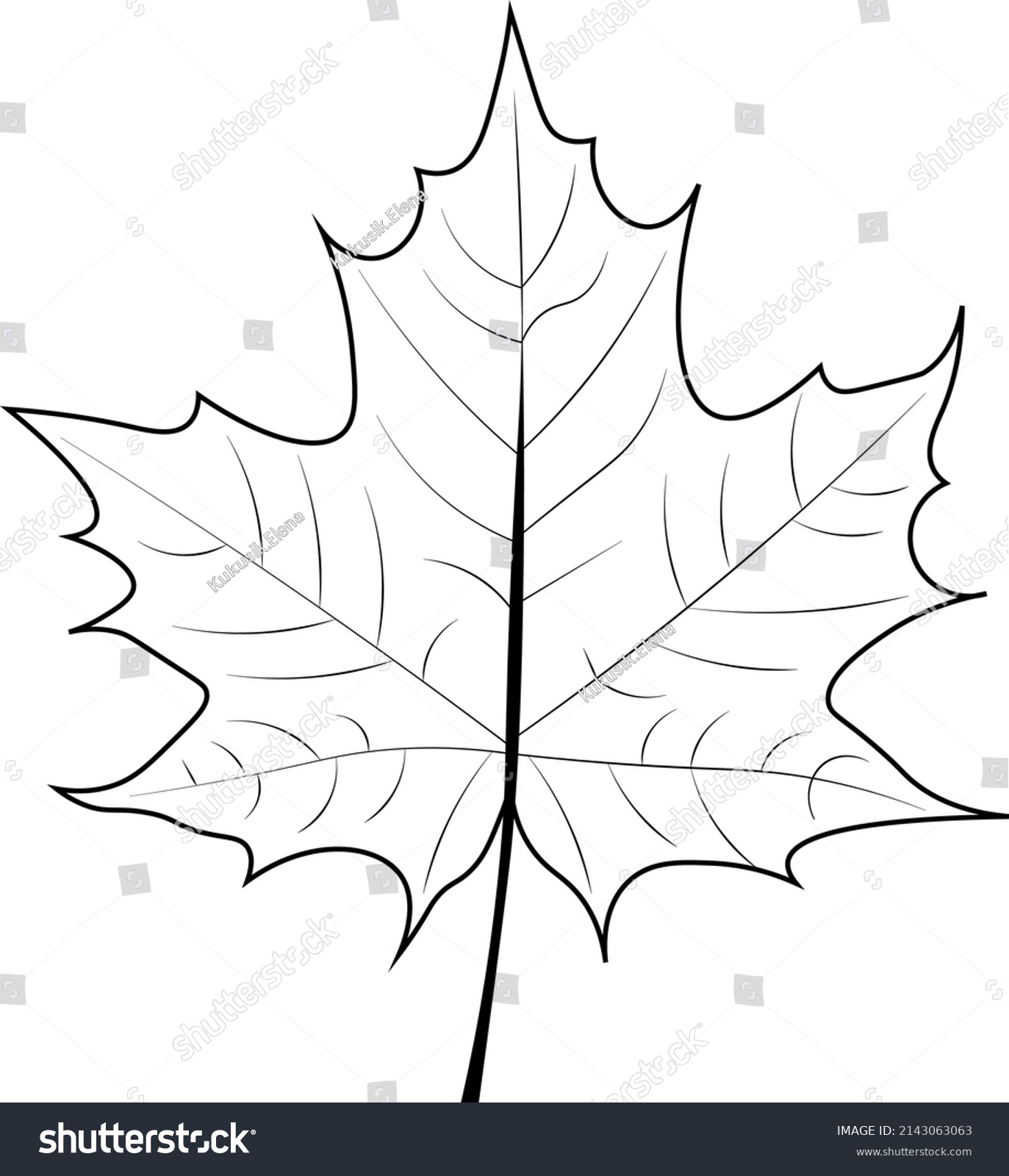 Maple Leaf Vector Black White Stock Vector (Royalty Free) 2143063063 ...