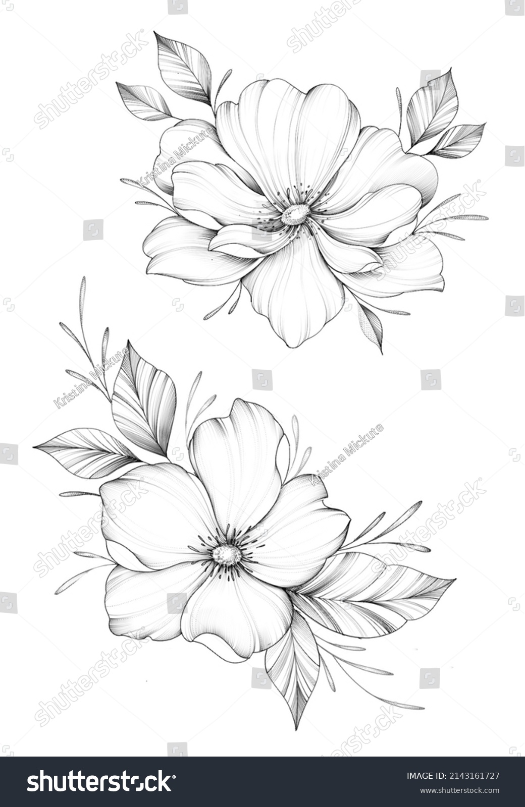 Botanical Set Flowers Illustration Tattoo Design Stock Illustration ...