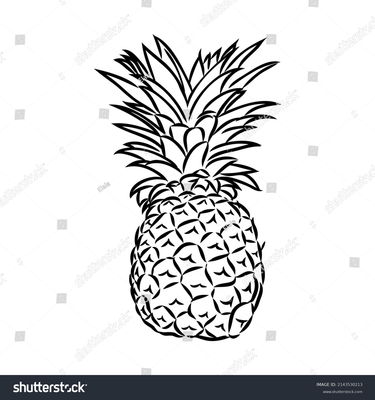 Image Pineapple Fruit Vector Black White Stock Vector Royalty Free 2143530213 Shutterstock 4101