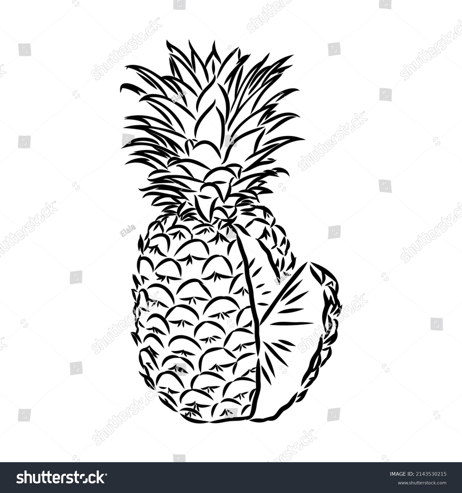 Image Pineapple Fruit Vector Black White Stock Vector Royalty Free 2143530215 Shutterstock 4791