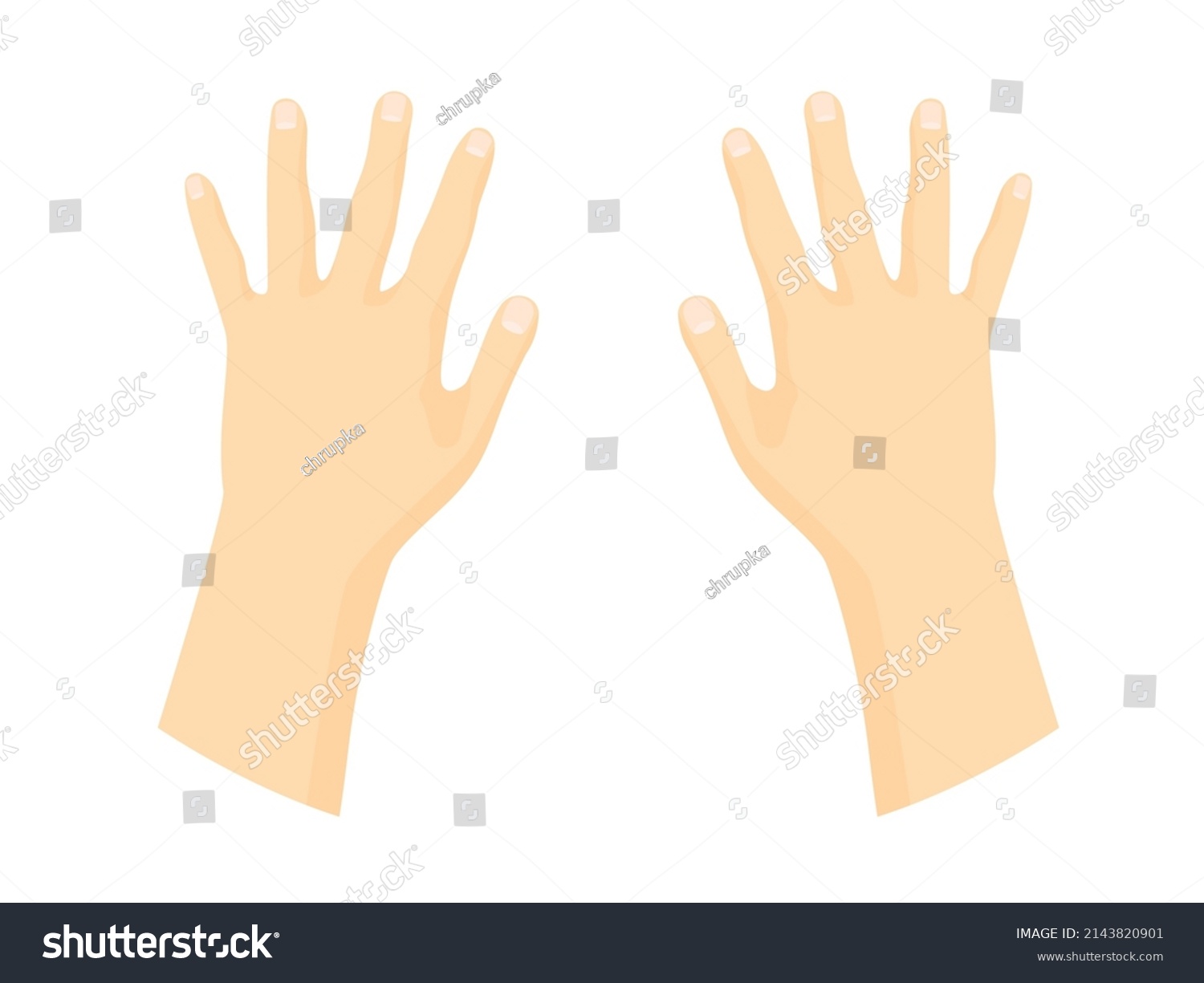 Back Human Hands Vector Illustration Stock Vector (Royalty Free ...